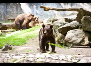 ZOO DE PESCHERAY