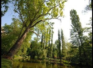 Jardin des Plantes ou Jardin d'Horticulture du Mans