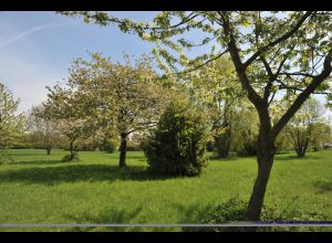 Parc du Gué de Maulny