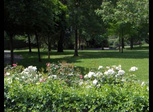 Gazonfier 公园 (Parc de Gazonfier)