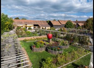 Maison de la Prairie - ferme et jardin potager