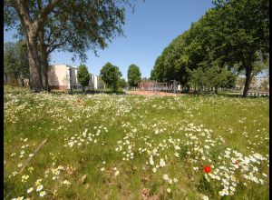 GLONNIERES PARK