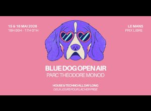 Blue Dog Open Air