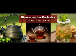 HERBATICA - HERBAL TEAS, TEAS, SPICES