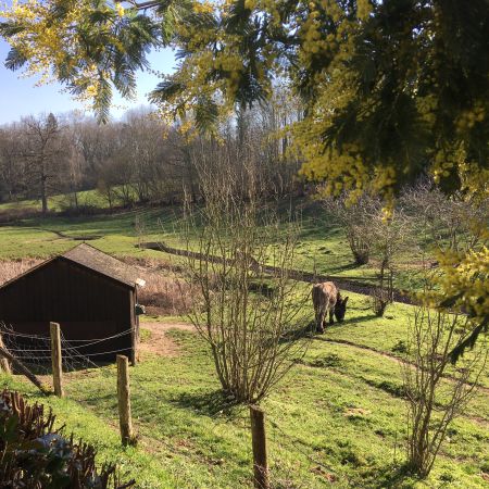 Offre spéciale fortes chaleurs