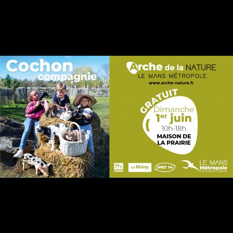 Visuel Cochon et compagnie