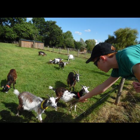Visuel BALADE de la ferme en patois