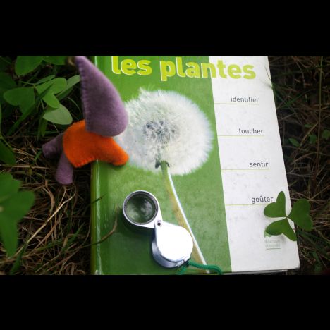 Visuel Sortie botanique et sensorielle