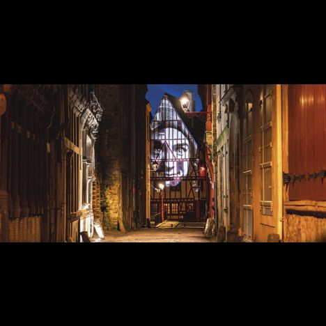 Visuel La Nuit des Chimères