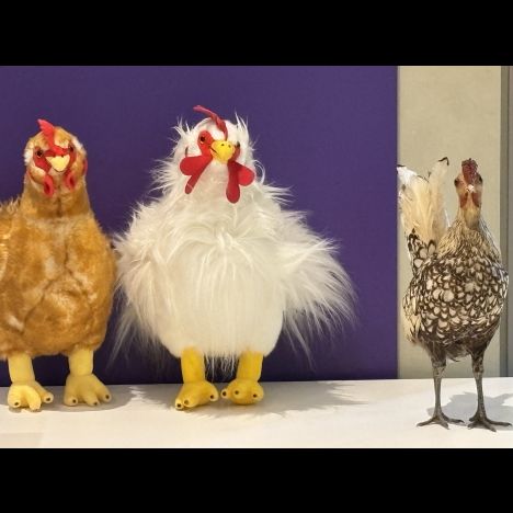Visuel Baby hour : mes 1ers pas au musée