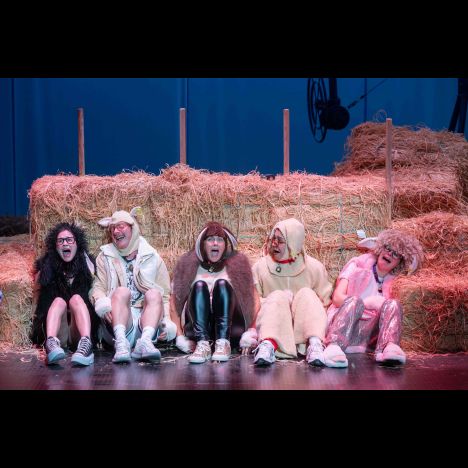 Visuel Foutue bergerie