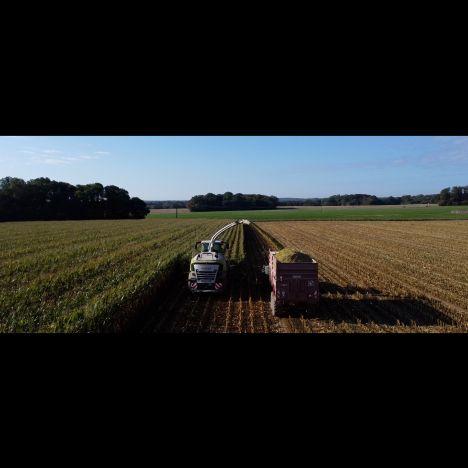 Visuel Semer et récolter