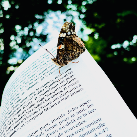 Visuel Sound of paper- Biennale Le Mans Sonore