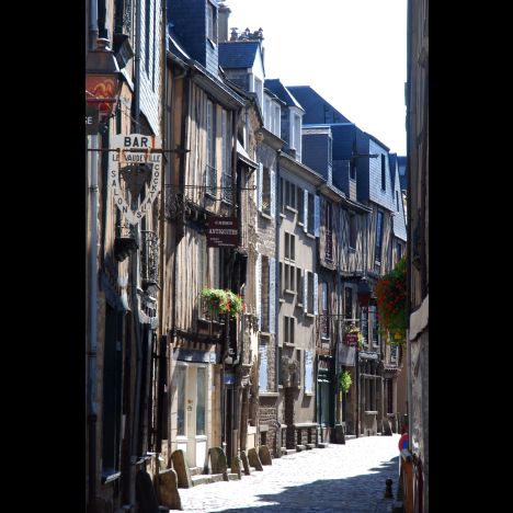 Visuel La cité Plantagenêt