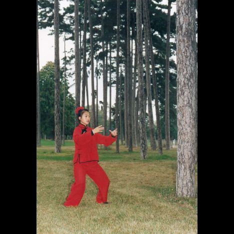 Visuel Atelier Qi Gong - Association Spirales