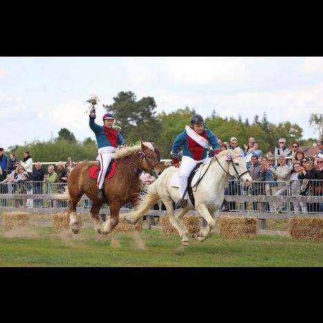 Visuel Fête des lances