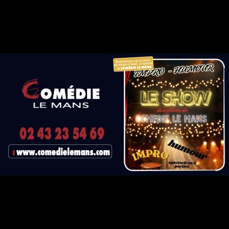Visuel LE SHOW : IMPRO-HUMOUR