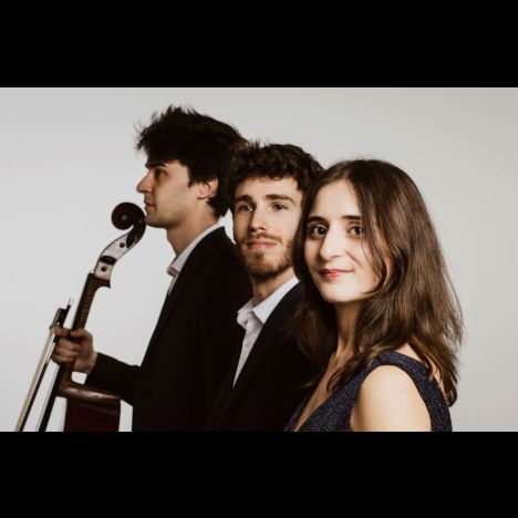 Visuel Concert de l’épau : Trio Parhelie