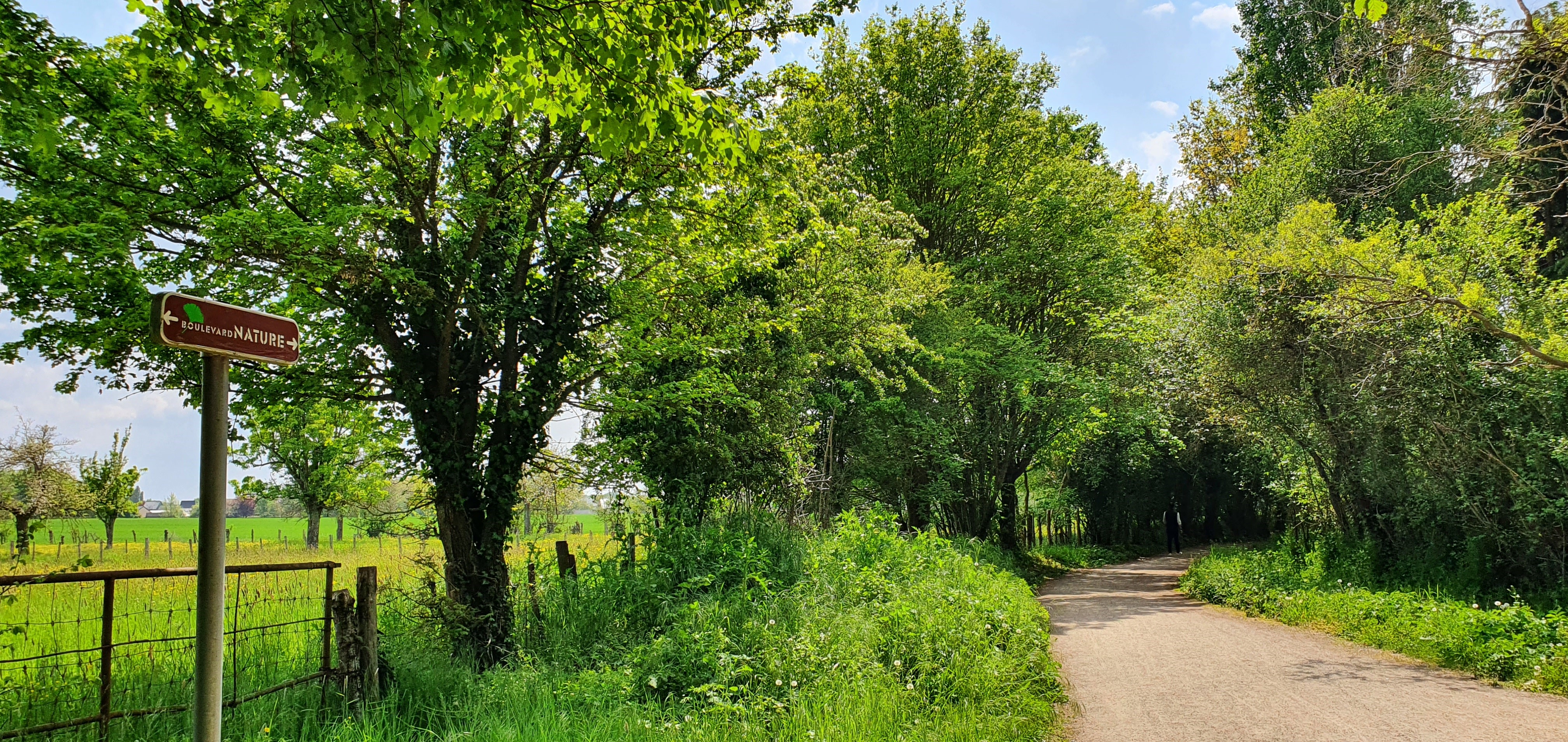 Chemins creux Sargé ©AS OT Le Mans Métropole