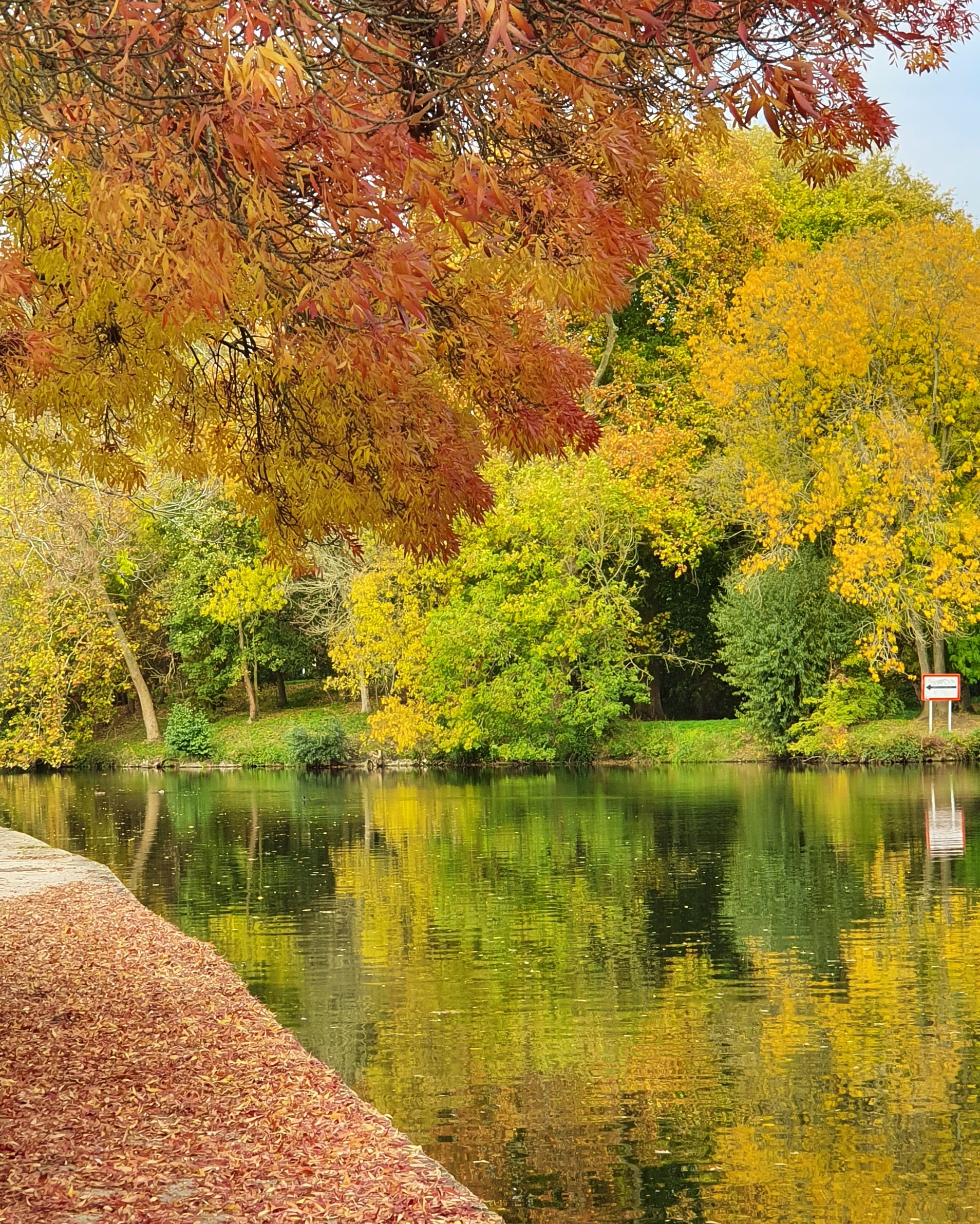 L'automne au Mans