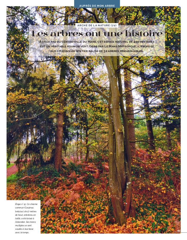 Les arbres remarquables de l'Arche de la Nature